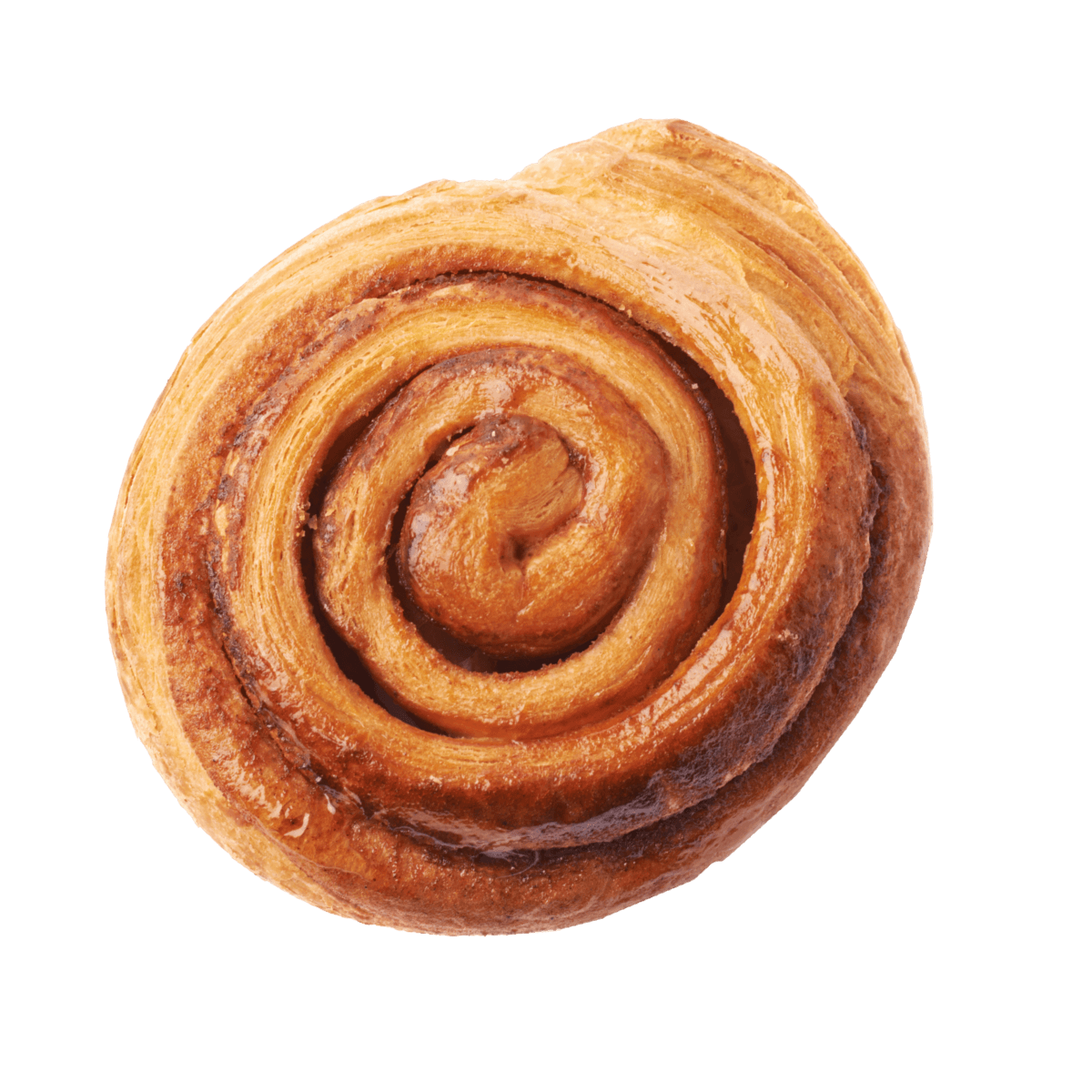 Cinnamon Rolls Cinnamon Rolls