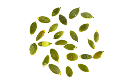 bread_transparent_04 https://momentulgustului.ro/wp-content/uploads/2017/07/bread_transparent_04.png