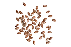 bread_transparent_07 https://momentulgustului.ro/wp-content/uploads/2017/07/bread_transparent_07.png